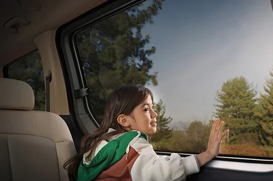 Панорамное окно